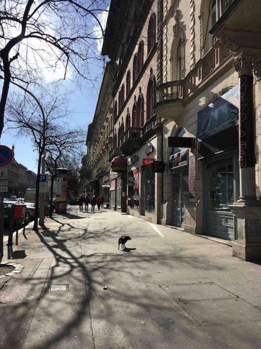 Appartamento Downtown Island Of Peace By Nw Budapest Esterno foto